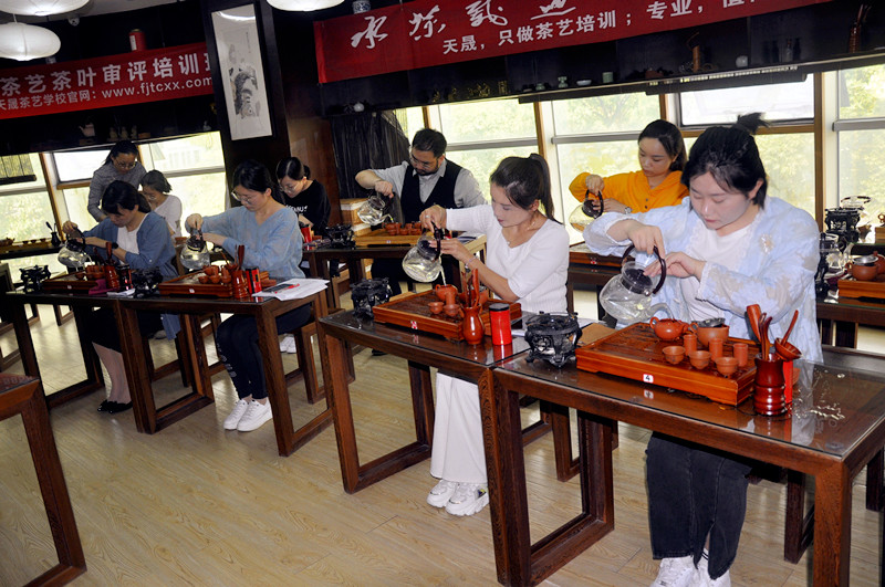 十二月学茶艺哪里有培训？天晟第202期中国茶学系统培训班预约报名(图3)