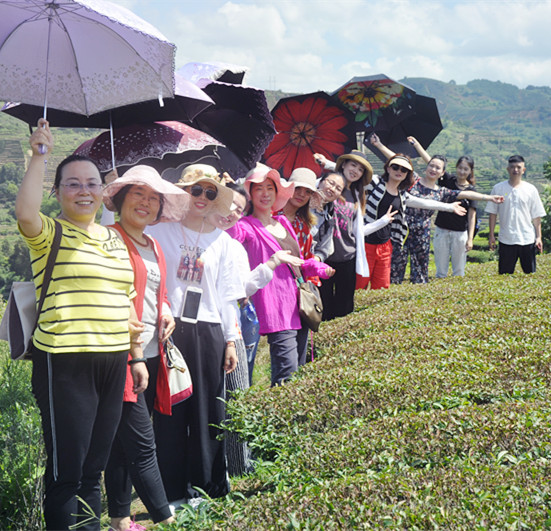 茶艺师去哪里报名培训？天晟茶艺培训学校中国茶学系统培训班招生啦！(图2)