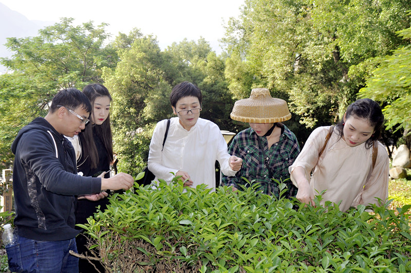 2025年1月茶艺师培训班哪里报名？天晟茶艺培训学校：探索茶艺之美，开启中国茶学之旅(图1)
