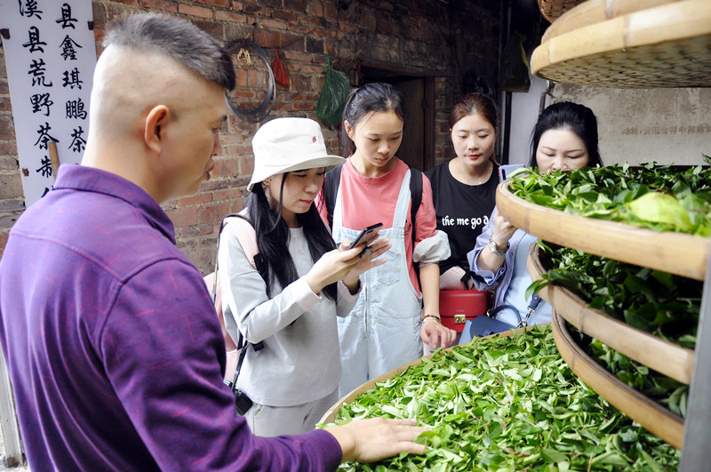 茶艺培训大师养成记：天晟茶艺培训学校，一站式打造你的茶艺传奇(图2)